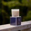 VELA BLUE BEE