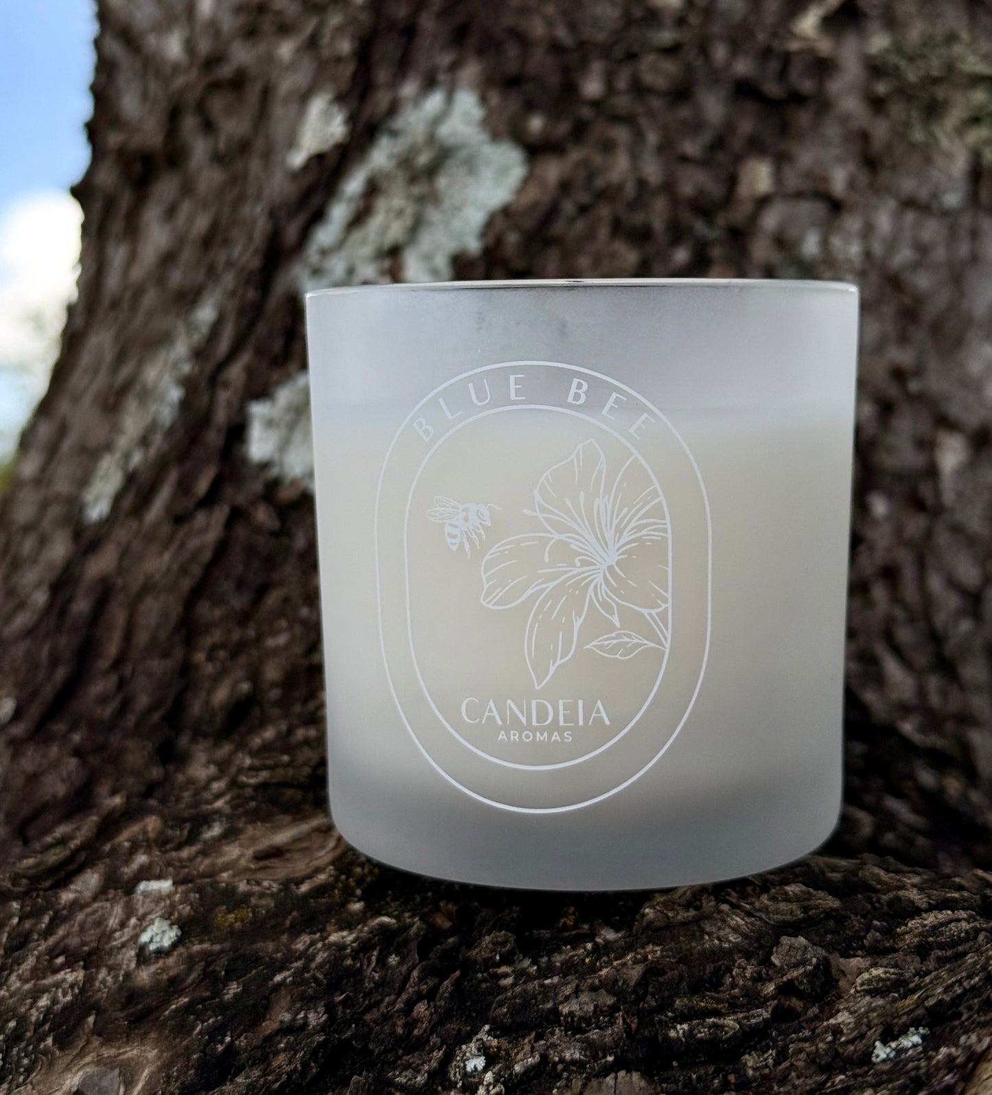 VELA PERFUMADA BLUE BEE