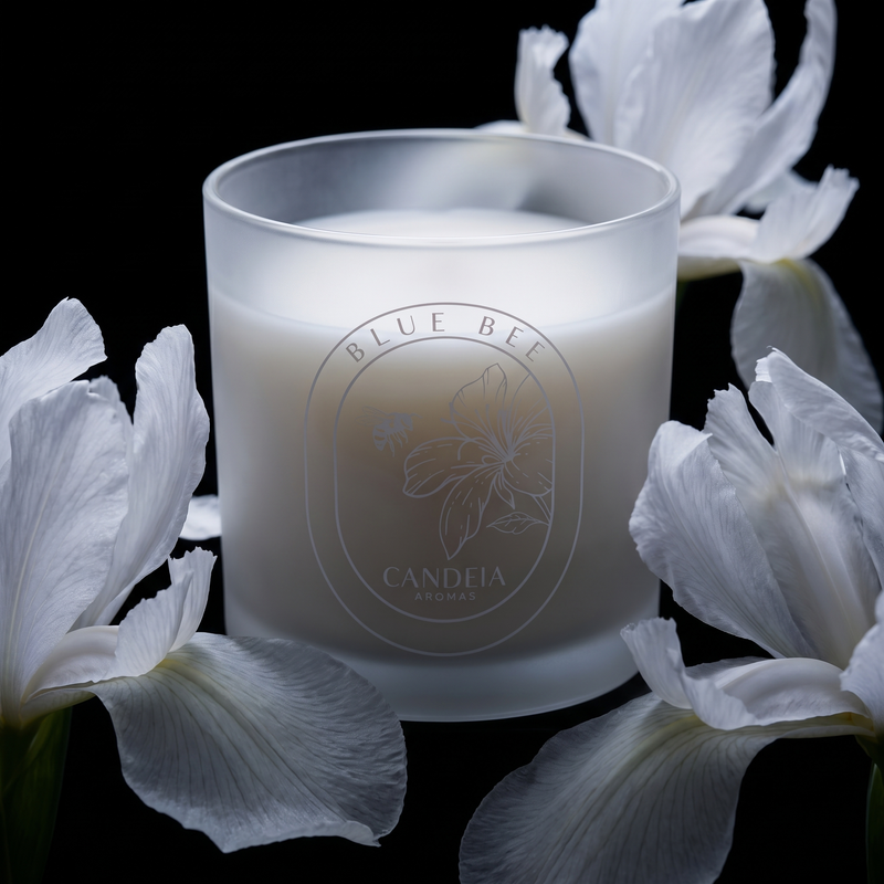 VELA BLUE BEE