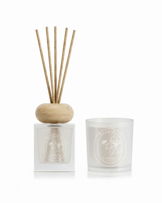 KIT VELA E DIFUSOR PARA AMBIENTES BLUE BEE